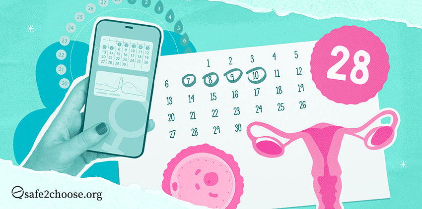 Illustration of ovulation tracking with a calendar, smartphone app, and uterus showing a 28-day menstrual cycle.